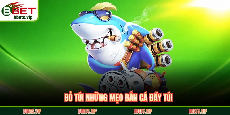 Bỏ túi những mẹo bắn cá đầy túi