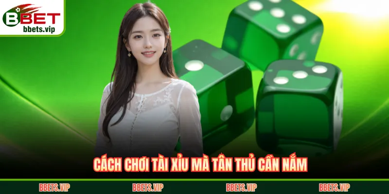 Cách chơi Tài xỉu mà tân thủ cần nắm