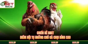 chiến kê bbet
