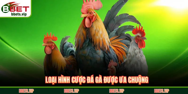 Loại hình cược đá gà được ưa chuộng